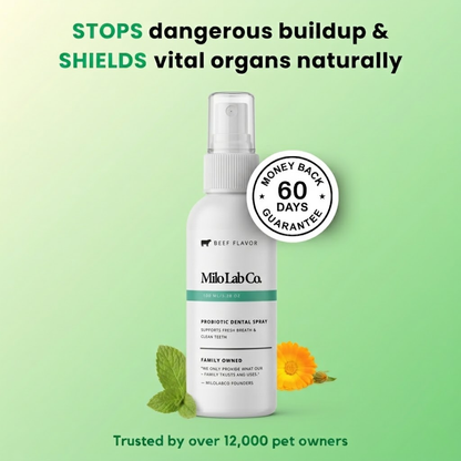 Advanced Dental Spray