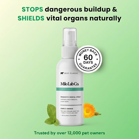 Advanced Dental Spray