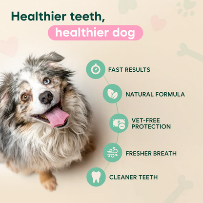 Advanced Dental Spray