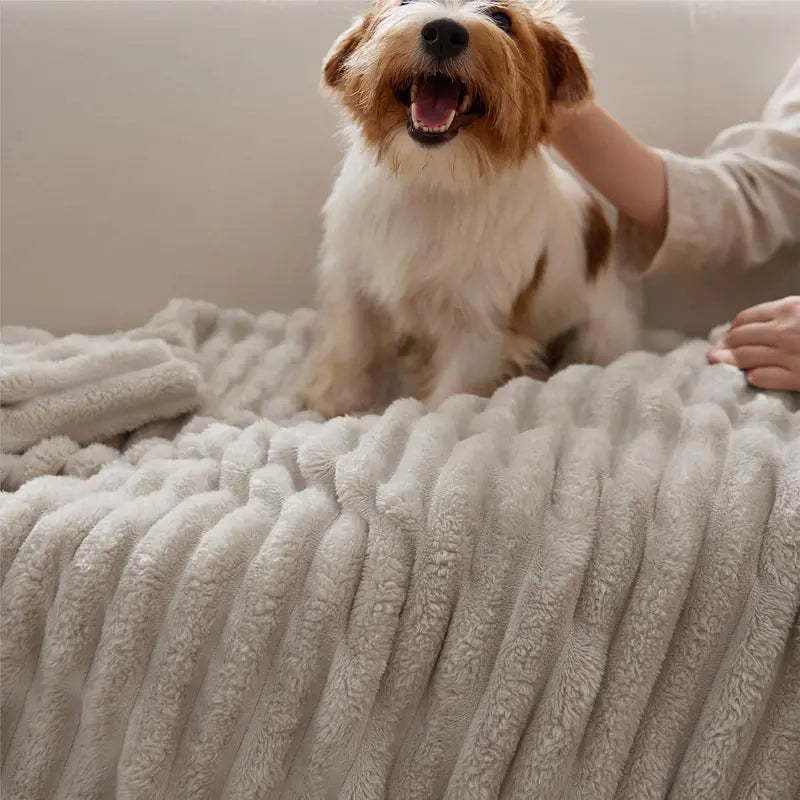 Cozy Blanket