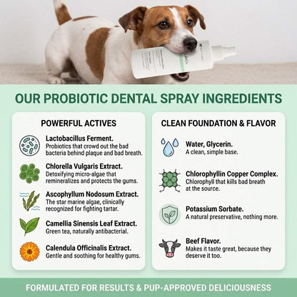 Advanced Dental Spray