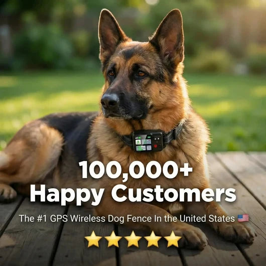 GPS Wireless Dog Fence v2