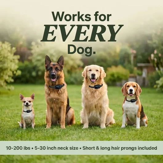 GPS Wireless Dog Fence v2