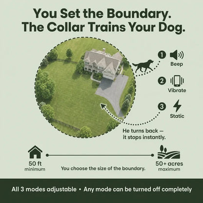 GPS Wireless Dog Fence v2
